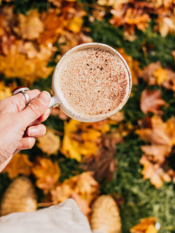 A spiced vegan latte perfect for autumn