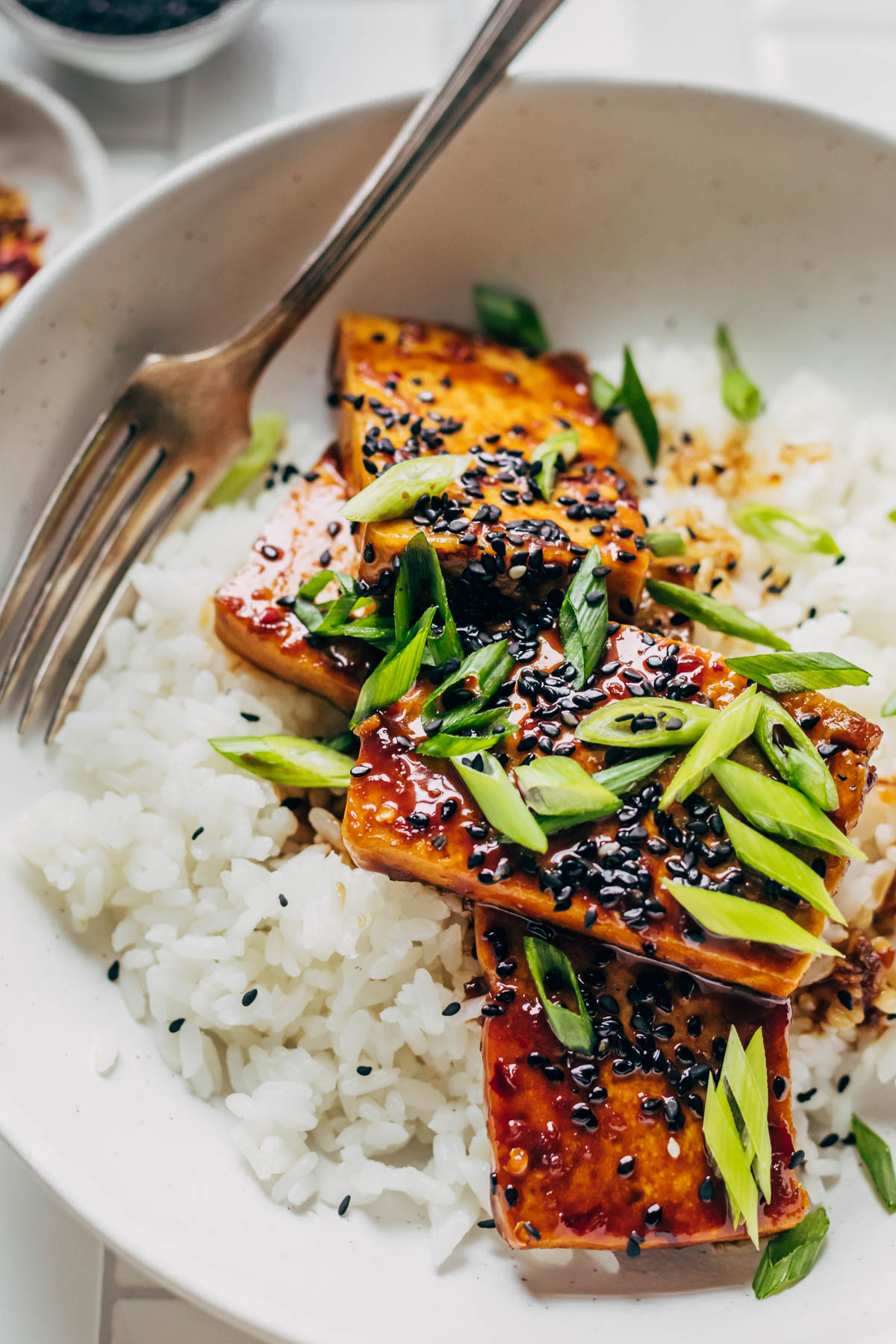 Teriyaki tofu on a bed of rice with green onions and sesame seeds