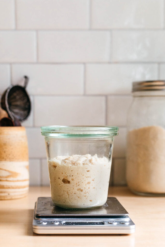 Image of gluten free sourdough starter ready to use in a glass jar.