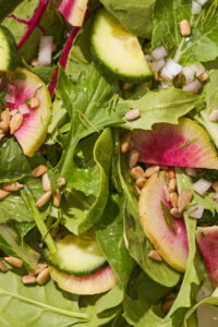 Shallot vinaigrette on a green salad with pink radish slices.