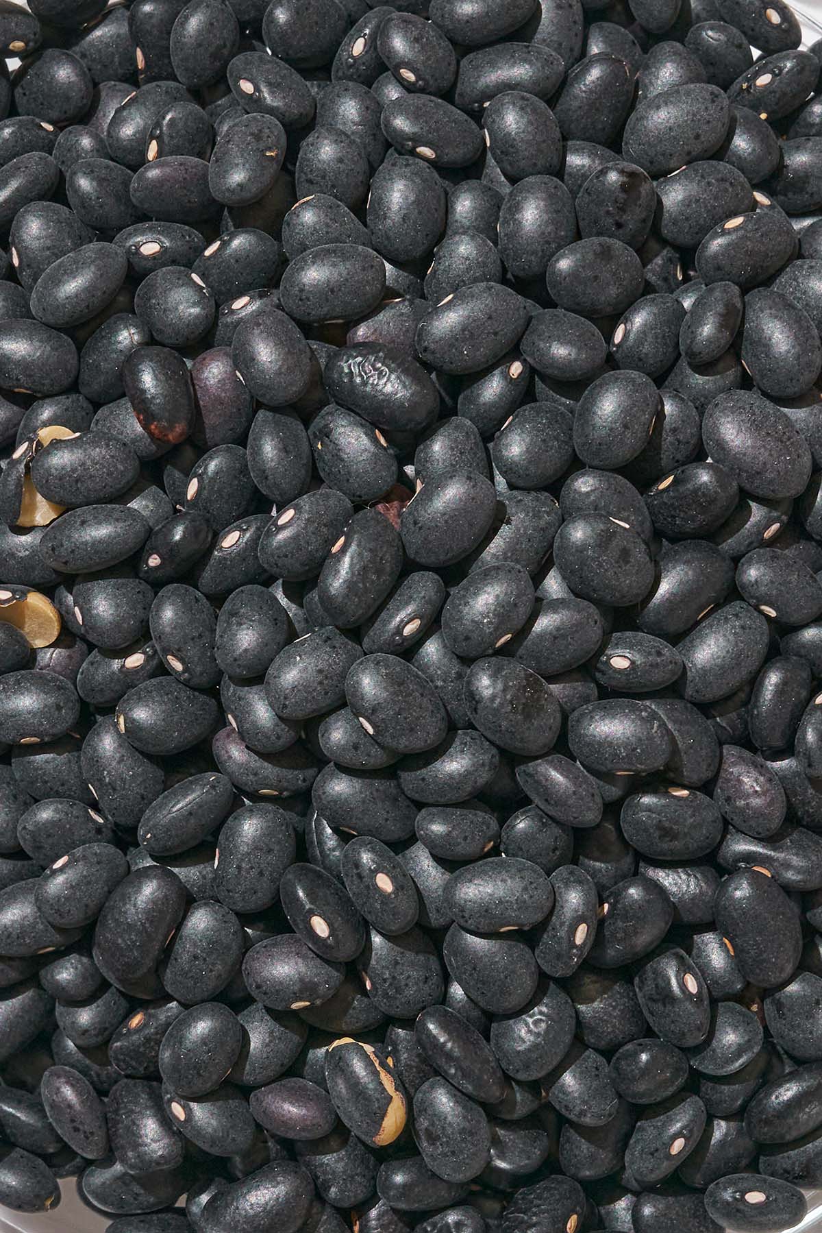 Close up of dried black beans.