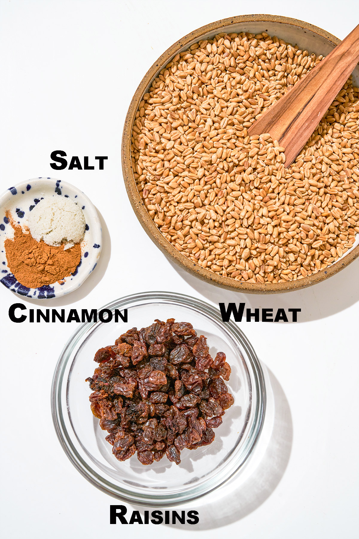 Sprouted bread ingredients with labels.