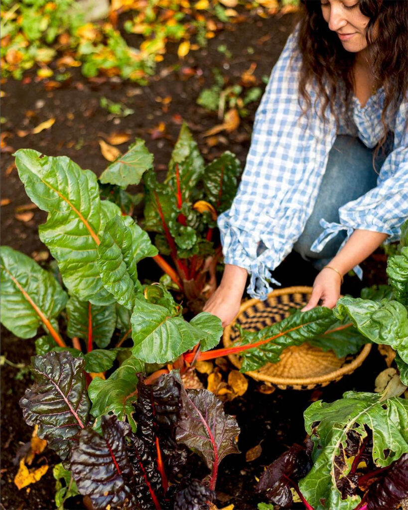 Woman in gingham blouse harvesting greens in a garden.
